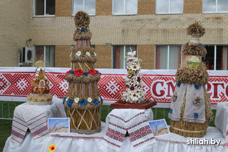 изображение_viber_2025-09-27_19-21-54-485.jpg