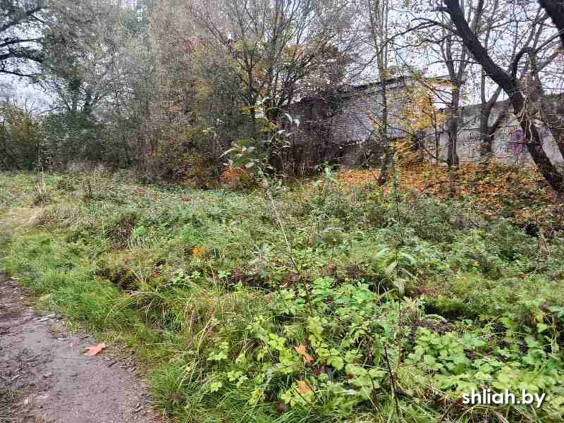 изображение_viber_2025-10-22_08-29-16-728.jpg изображение_viber_2025-10-22_08-29-16-728.jpg