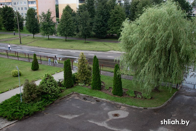Фото (81).jpg