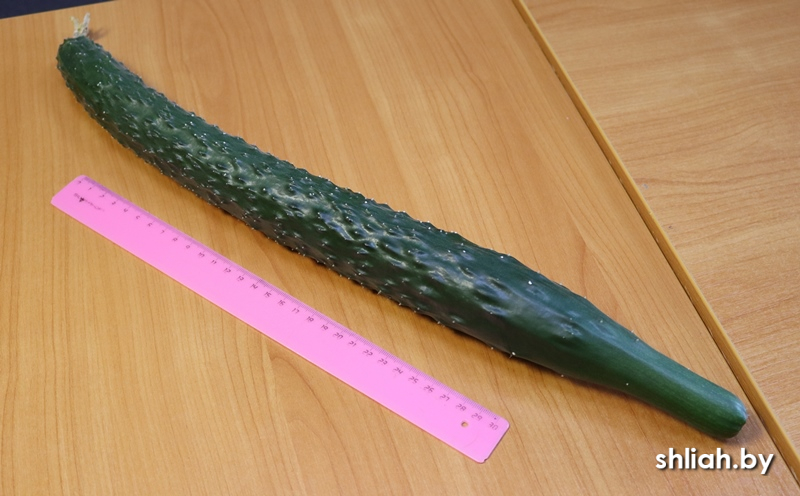 Госпадарева.JPG