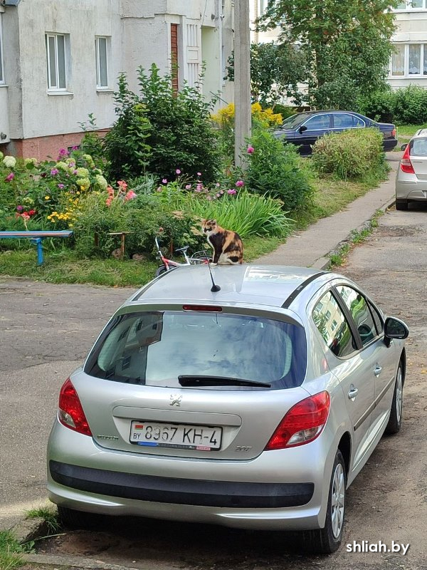 Изображение (3).jpg