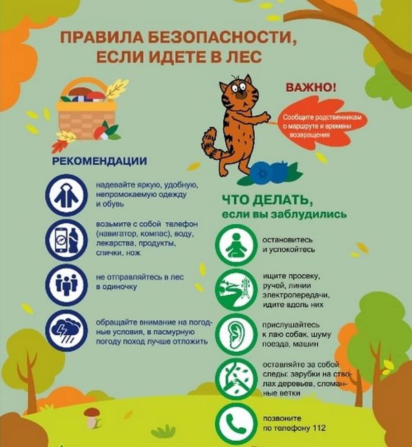 Если идете в лес.jpg