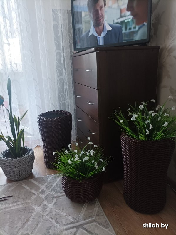 изображение_viber_2025-04-01_15-30-55-921.jpg