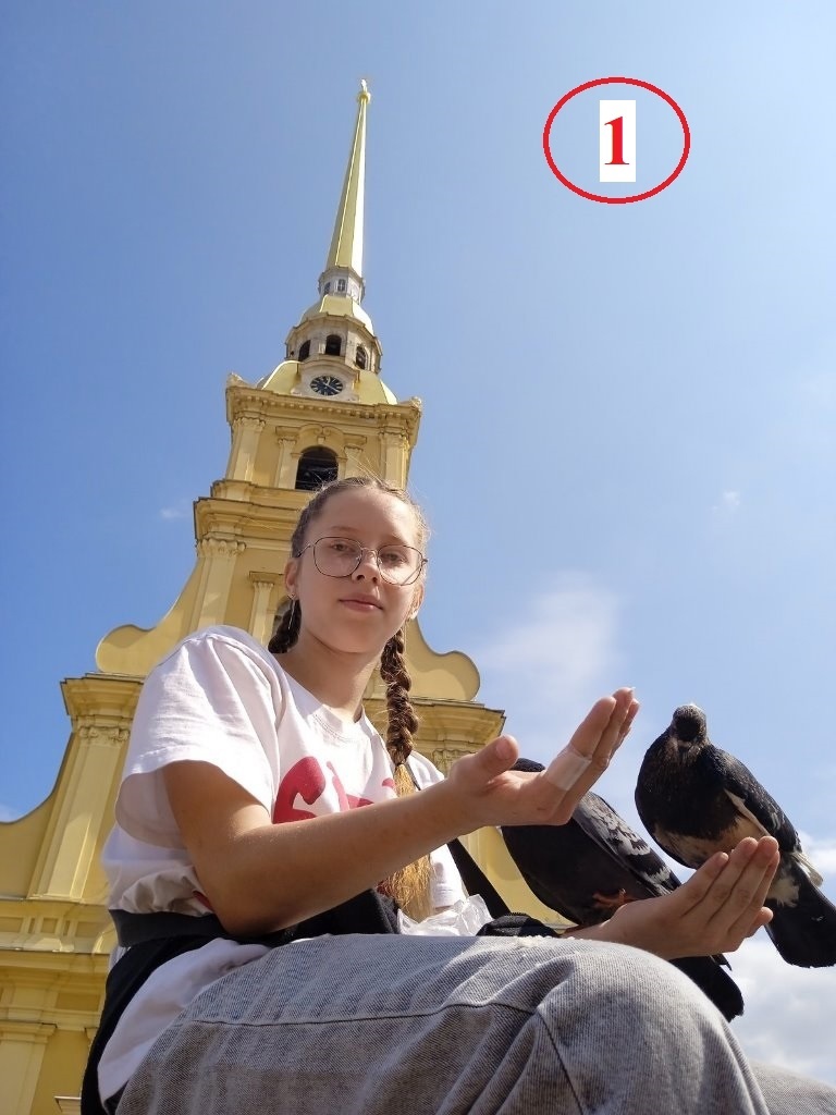 111.jpg 111.jpg