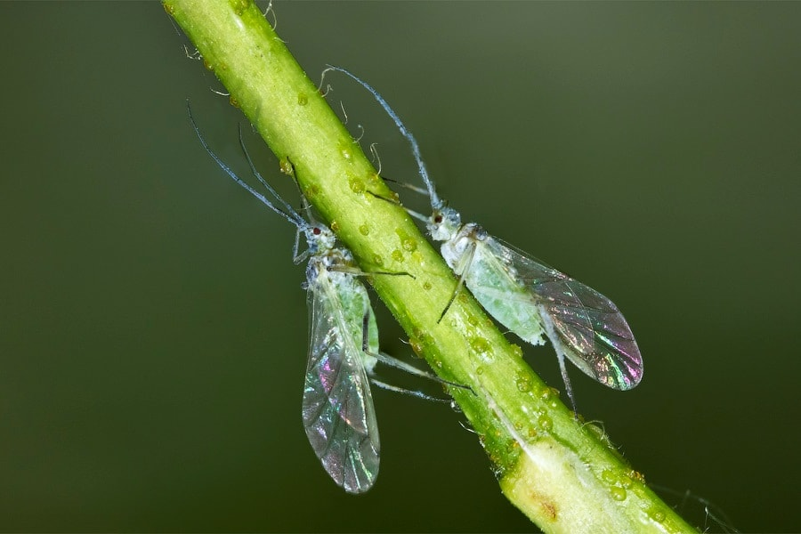 d78eca98215c2025f21bdb4e57ec041c.png