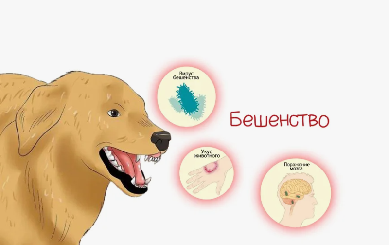 Opera Снимок_2025-06-26_110951_yandex.by.png