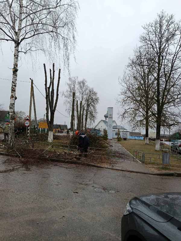 изображение_viber_2025-04-12_12-34-27-686.jpg