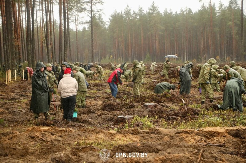 photo_2025-10-25_14-11-59 (2).jpg photo_2025-10-25_14-11-59 (2).jpg