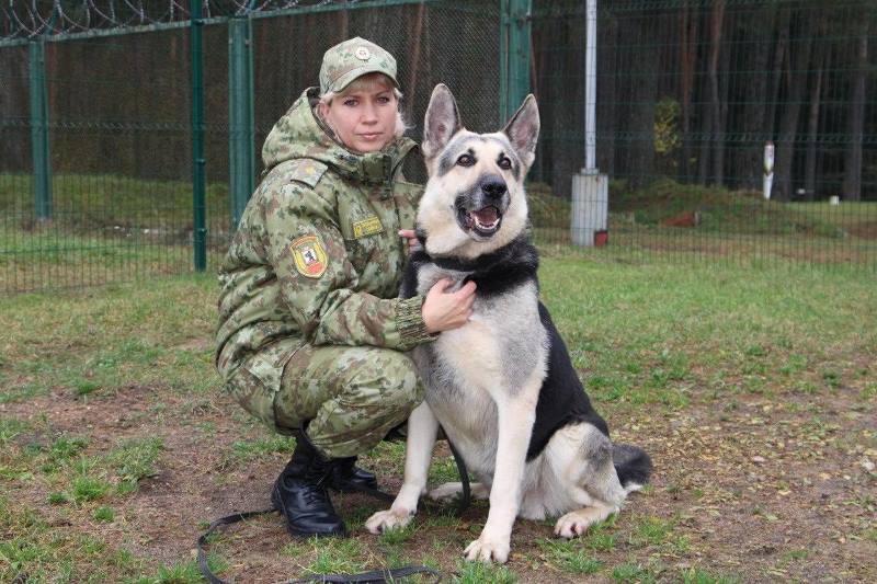 изображение_viber_2025-11-06_10-15-16-555.jpg изображение_viber_2025-11-06_10-15-16-555.jpg