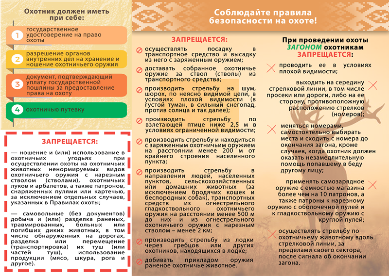 брошюра2 ПРИЛОЖЕНИЕ 2.png