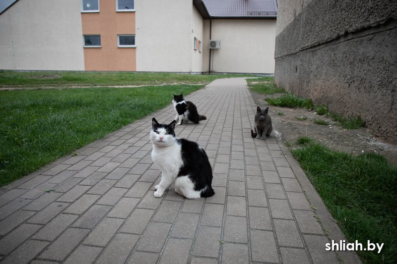 Изображение (12).jpg