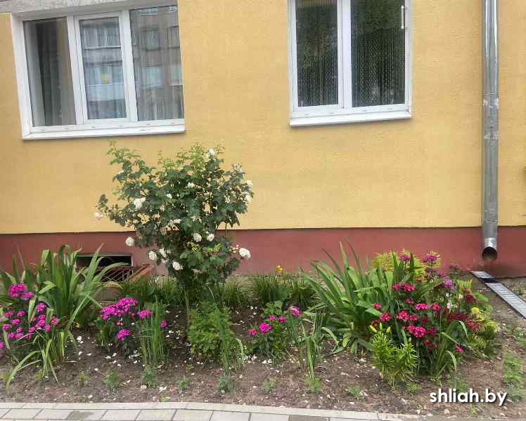 изображение_viber_2025-06-26_15-20-28-634.jpg