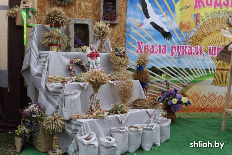 изображение_viber_2025-09-27_20-41-24-712.jpg