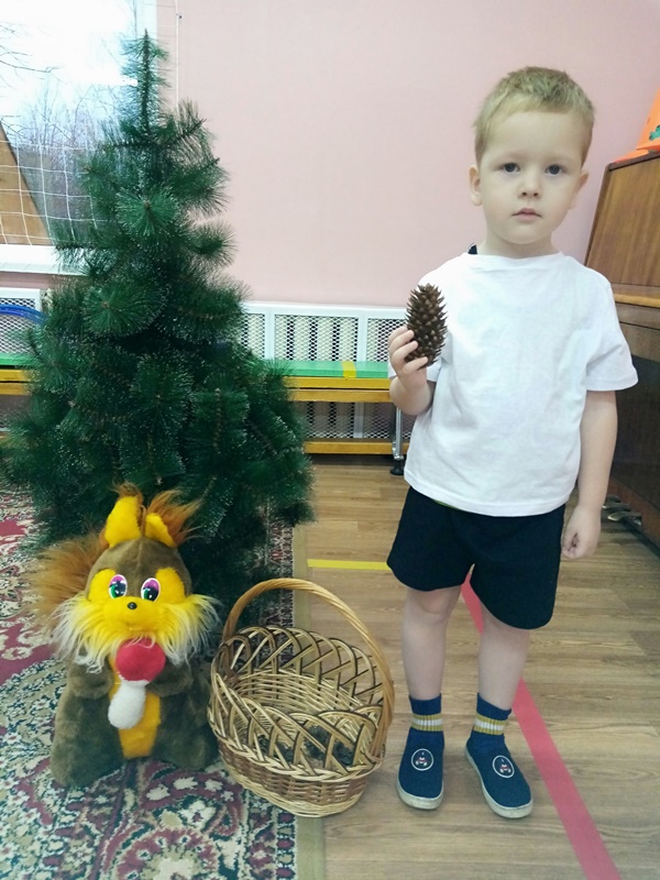 Шишки для белочке.jpg