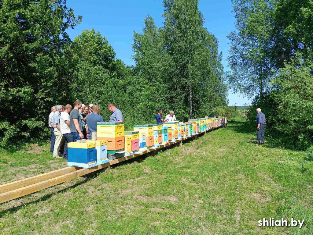 изображение_viber_2024-05-24_17-04-01-412.jpg