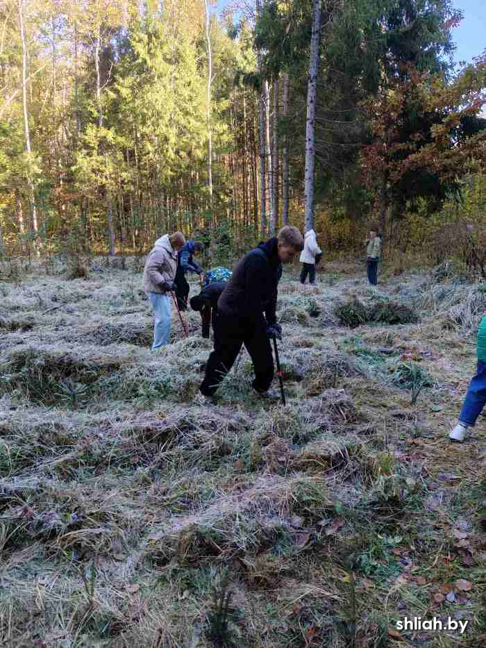 изображение_viber_2024-10-18_10-43-56-116.jpg