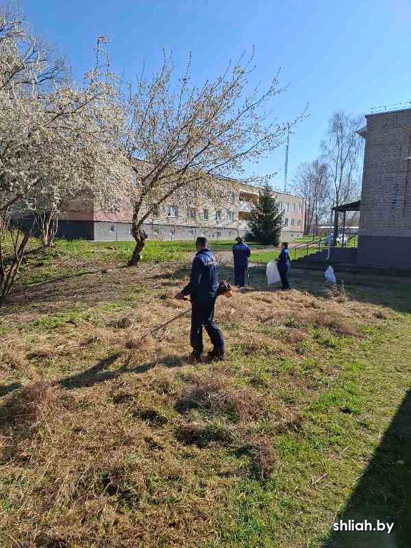 изображение_viber_2025-04-17_14-20-05-143.jpg