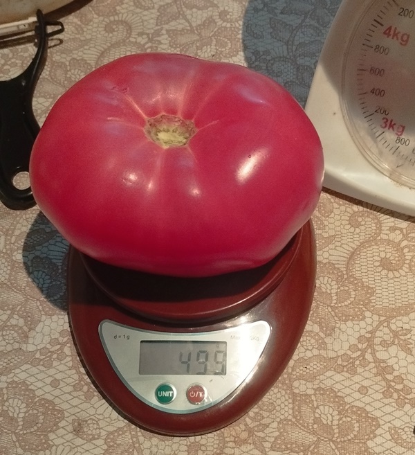 15.jpg