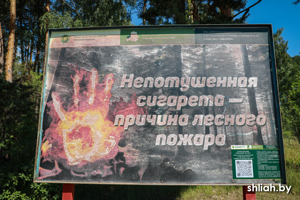 Фото (2).jpg