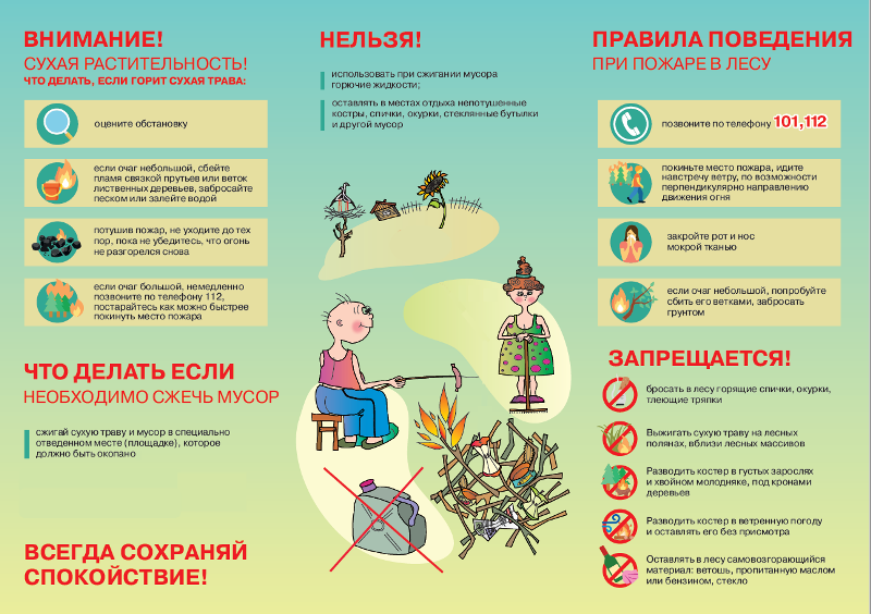 Безымянный 2.png Безымянный 2.png