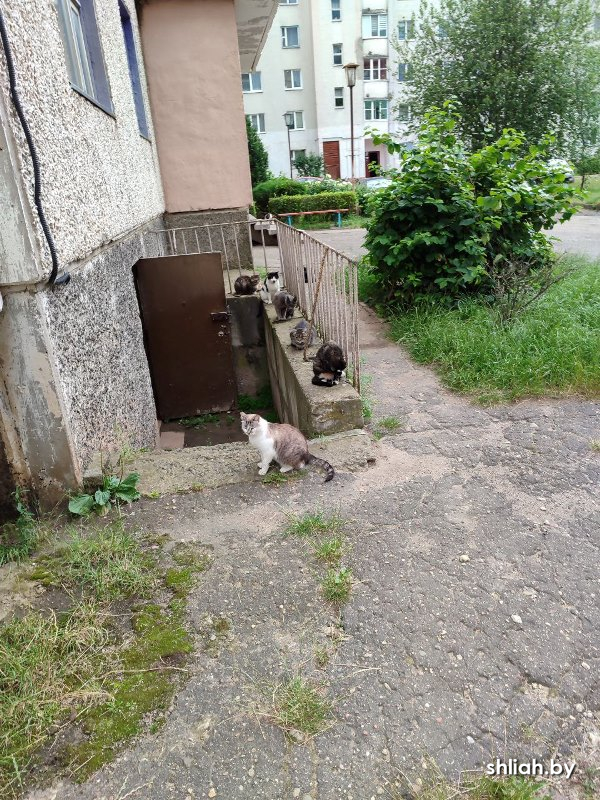 Изображение (8).jpg