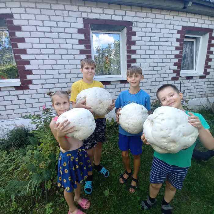 изображение_viber_2024-08-20_18-23-21-147.jpg