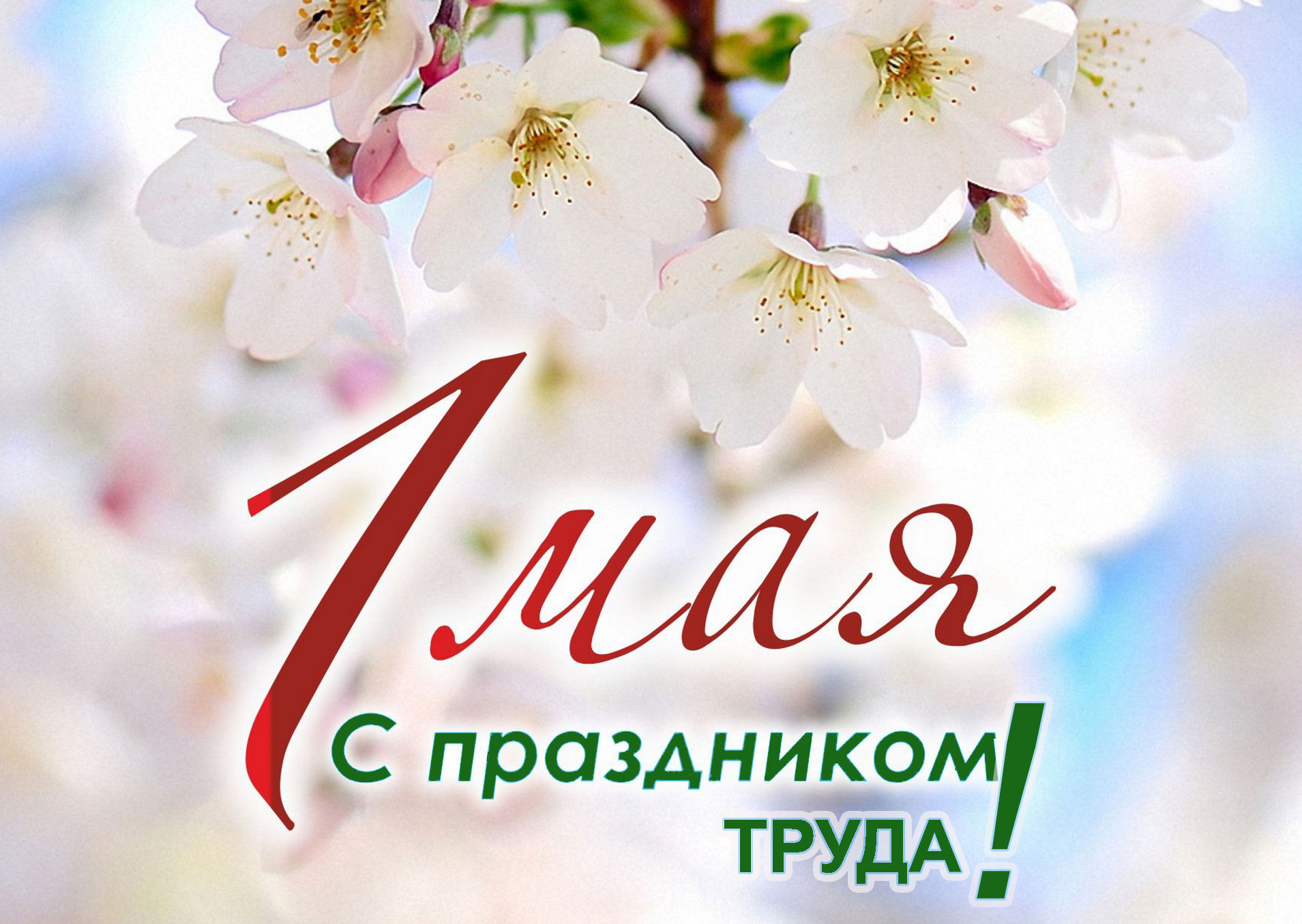 Поздравление Президента Беларуси с Праздником труда
